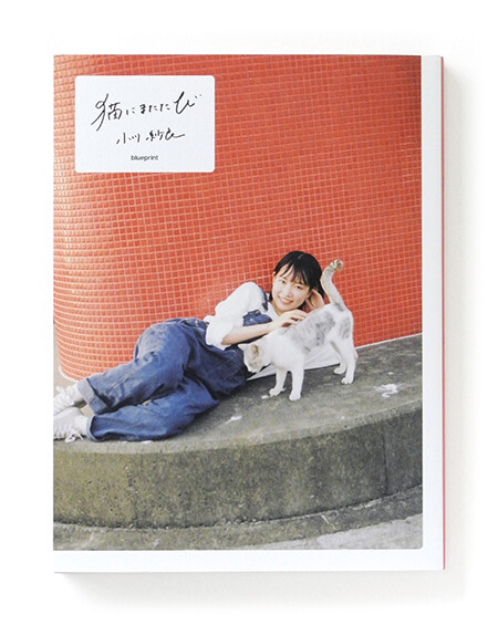 neko ni matatabi, book