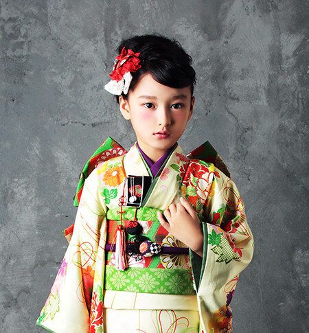 753 collection, brochure