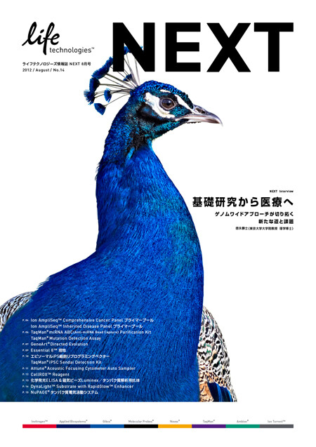 NEXT vol.14, brochure