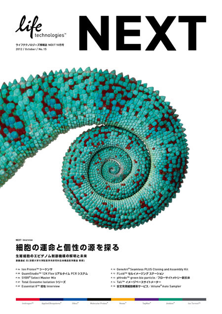 NEXT vol.15, brochure