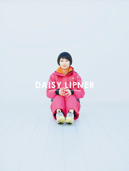 daisy lipner 2012-2013 collection, brochure