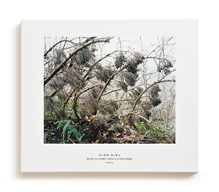 naoki ishikawa: KATA and SATOYAMA, book