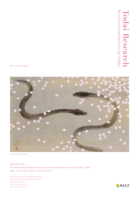 todai research, brochure