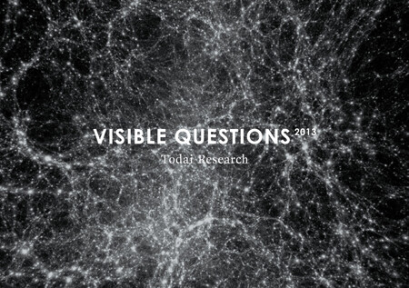 VISIBLE QUESTIONS 2013, brochure