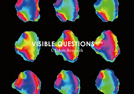 VISIBLE QUESTIONS 2014, brochure