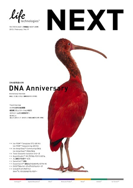 NEXT vol.17, brochure