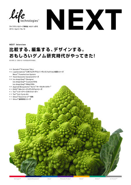 NEXT vol.18, brochure