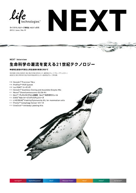 NEXT vol.19, brochure