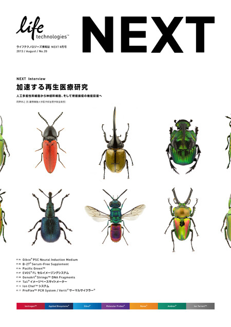 NEXT vol.20, brochure