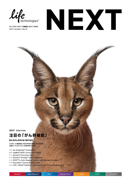 NEXT vol.21, brochure