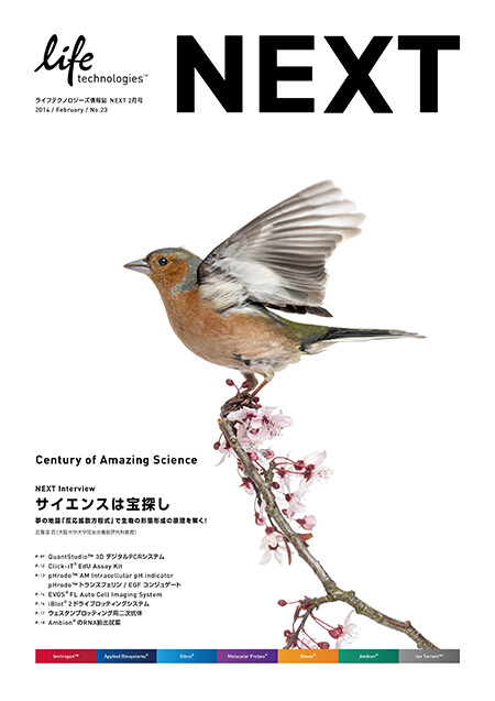 NEXT vol.23, brochure