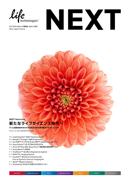 NEXT vol.24, brochure