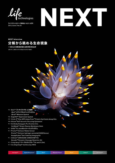 NEXT vol.25, brochure