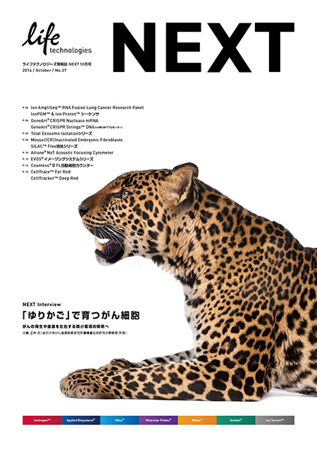 NEXT vol.27, brochure