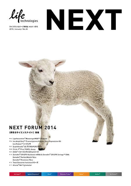 NEXT vol.28, brochure
