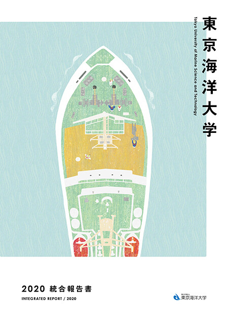 INTEGRATED REPORT 2020, brochure