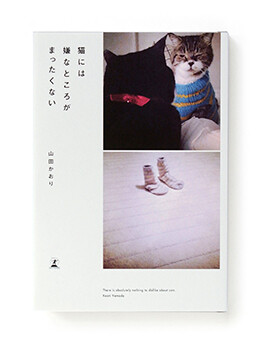 There is absolutely nothing to dislike about cats, book