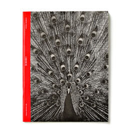 choice: academic groove, book