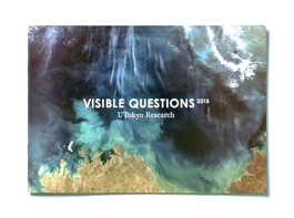 VISIBLE QUESTIONS 2015, brochure
