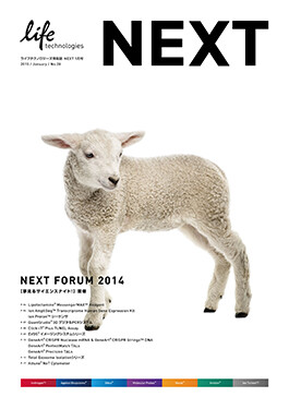 NEXT vol.28, brochure