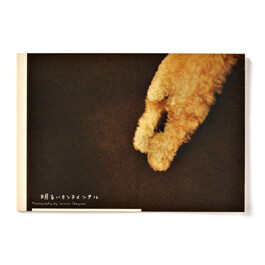 akarui sentimental, book